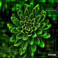 Braindrop - Wooden Vibration