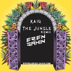 Kaiq - The Jungle (Eren Sahin Remix)