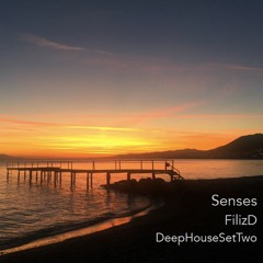 Senses - DeepHouseSetTwo
