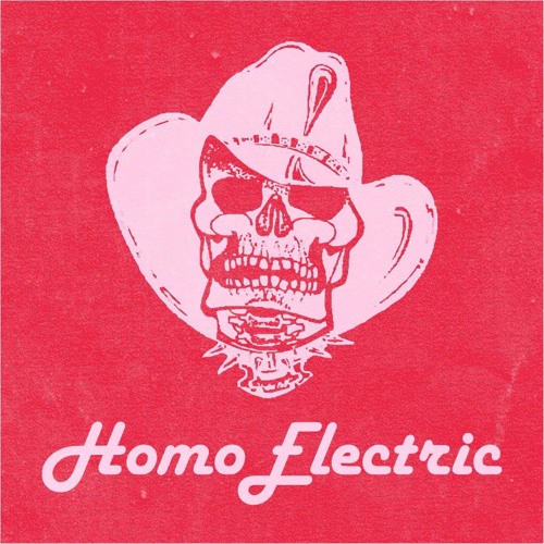 HOMOELECTRIC PASS THAT TO PAULETTE 021117