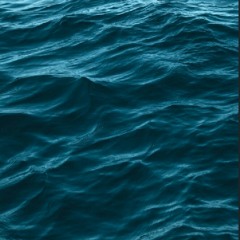 Pilli Bebek - Olan Biten