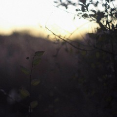 p.tape w/ tidecruz, w/ warmtones, w/ Timur Dzhumatov