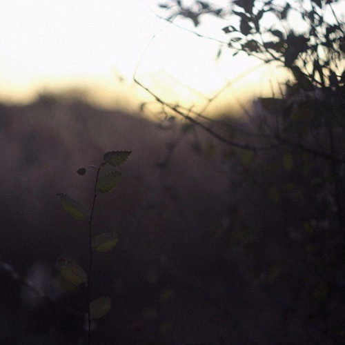 p.tape w/ tidecruz, w/ warmtones, w/ Timur Dzhumatov