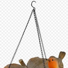 Norman Weekly (2.11.17)