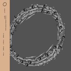 Francisco Allendes & Pablo Inzunza - Ripples - DESOLAT059