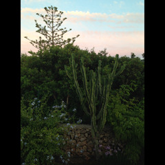 OEJ Mixtape XIV - Philip Sherburne