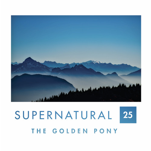 Supernatural 25 by The Golden Pony