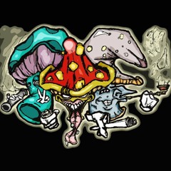 Tribe/ Hardtek