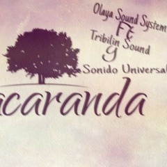 Jacaranda- Olaya sound System ft Tribilin Sound y Sonido Universal