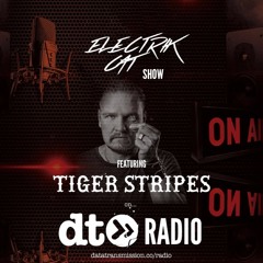CatCast 30 With Electrik Cat Ft. Tiger Stripes