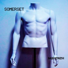 Somerset- Розы