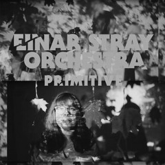 EXCLUSIVE: Einar Stray Orchestra - Synthesis (Constantijn Lange Remix) [Sinnbus]