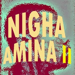AMINA II (Original Mix)
