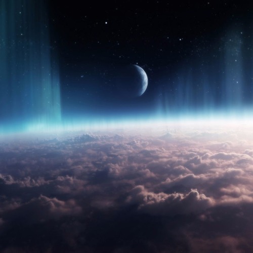 Rogue Wave – Forest