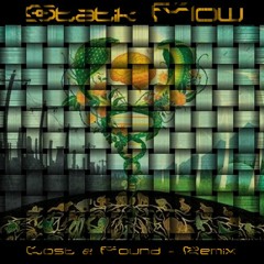 The Polish Ambassador - Lost and Found (Statik Flow Remix)