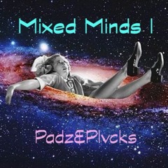 Mixed Minds I