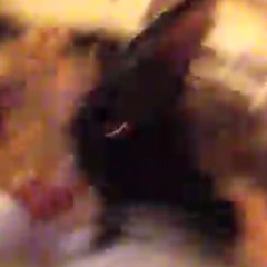 Today Will Be Different - 8 bit Metal