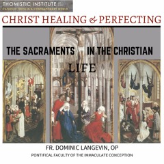 The Sacraments in the Christian Life (Part 1) | Fr. Dominic Langevin, OP