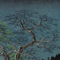 Barac - 490 (Observer Edit)