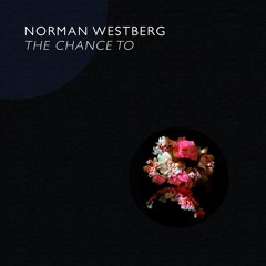 Norman Westberg - One One (edit)
