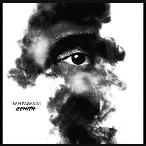 Sam Paganini - Survive