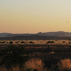 The Frontier