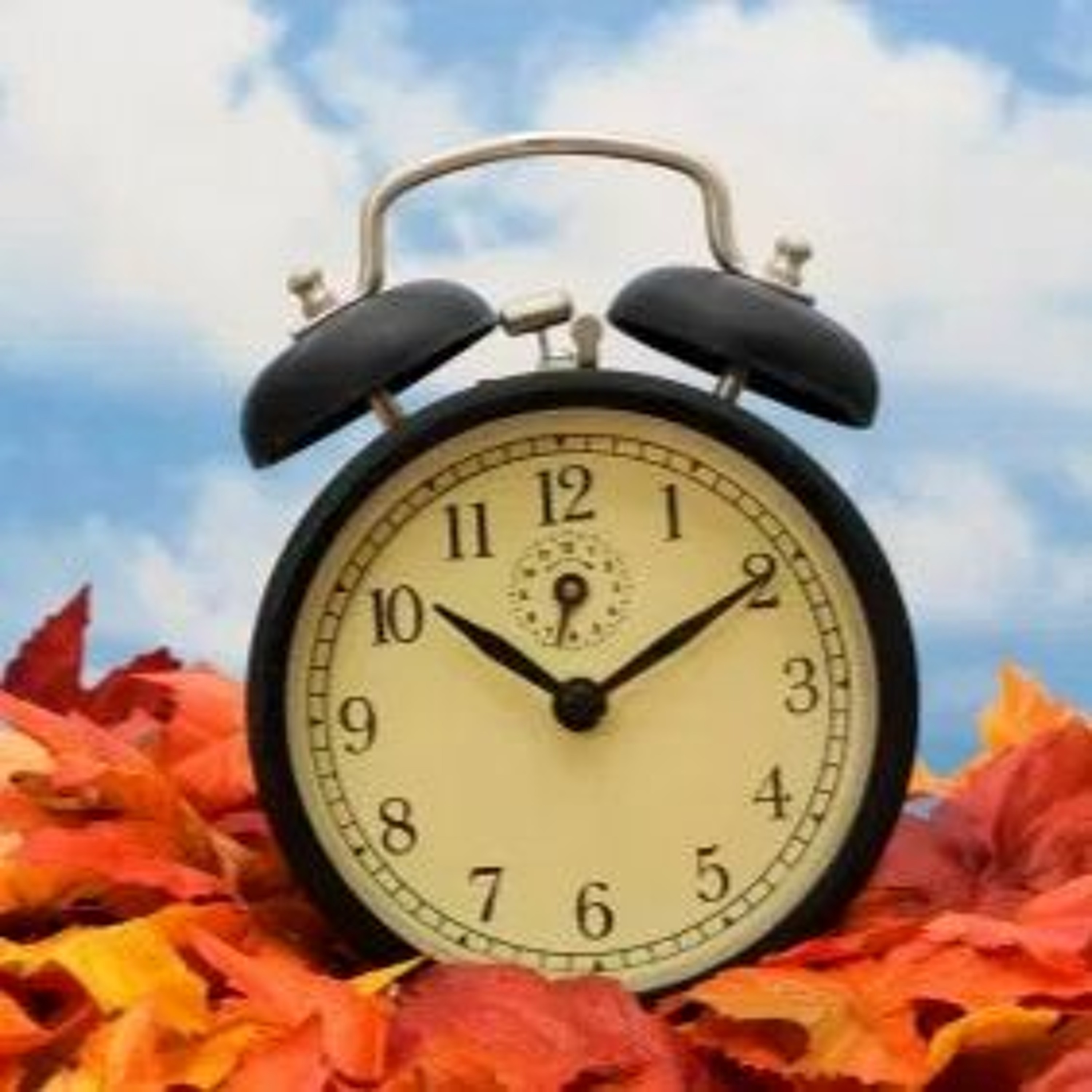 Friday : 11.3.17 : Fall Back This Weekend : Warm - A PM Shower? : Becerra Lawncare Update episode artwork