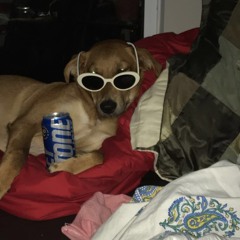 slow my roll (unmastered)// prod. by LilQuernt