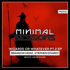 Brandon Heinz, Stephen Disario - Warrior (Carter Walker Remix)