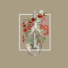 floral bones [ep]