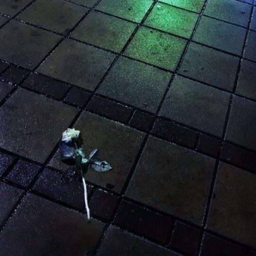 Why She Hit My Line (prod.AvddxcT)