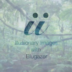 Illusionary Images 072 (Nov 2017)
