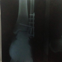 𝖈𝐲𝖇𝖔𝖗𝖌𝖘 𝖔𝖓 𝖍𝖊𝖑𝖑