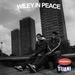 Wiley In Peace (Wise Man edit)