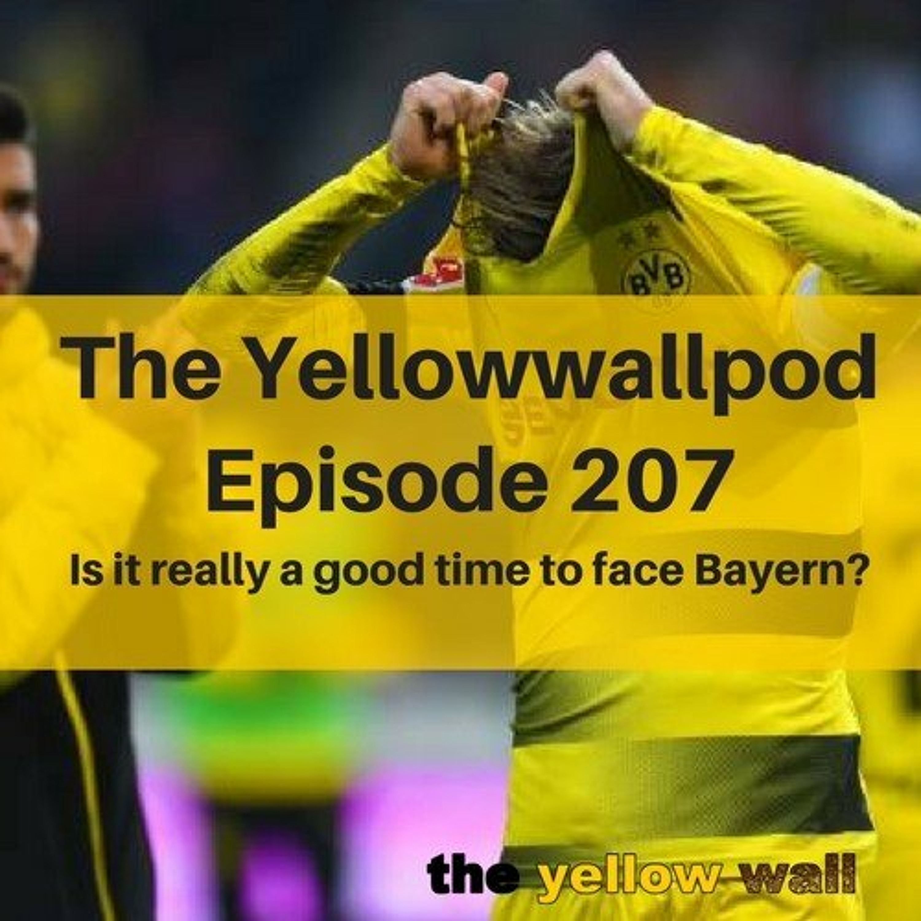 Yellowwallpod