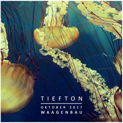Tiefton - Waagenbau 10/2017