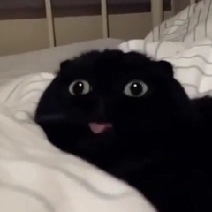 Weightlifting (***Rap???)