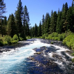 The River - Flynn Hendry