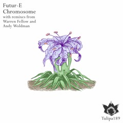 Futur-E - Chromosome (Original Mix)