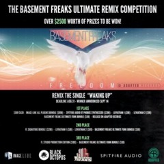 Basement Freaks - Waking Up (ft Sherly) [Oracle Ball Remix] *Competition Winner*