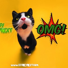 OH MY GOD - House/Electro Instrumental (Prod. By SidneyNext)