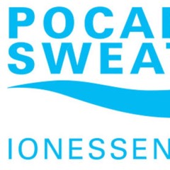 Pcari Ionessence - Digital Campaign