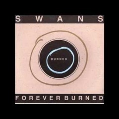 Swans // Love Will Tear Us Apart - YouTube