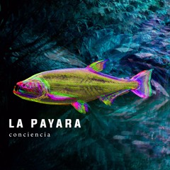 La Payara - Bogotá