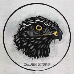Schallfeld - Modern Colony(Ryan Dupree & Kollektiv KlangGut & Andlee Remix)