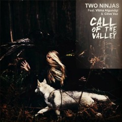 Two Ninjas Feat. Vibha Algundgi & Clive Vaz - Call Of The Valley (Single)