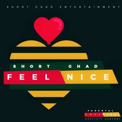 Short Ghad - Feel Nice