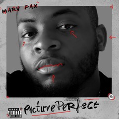 Picture Perfect (Prod. By DannyThe3rd)