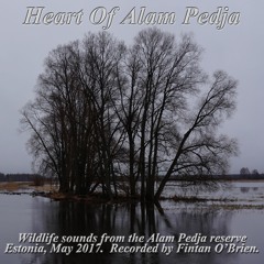 Heart Of Alam Pedja - track 1 of 27