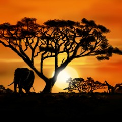 AFRICA